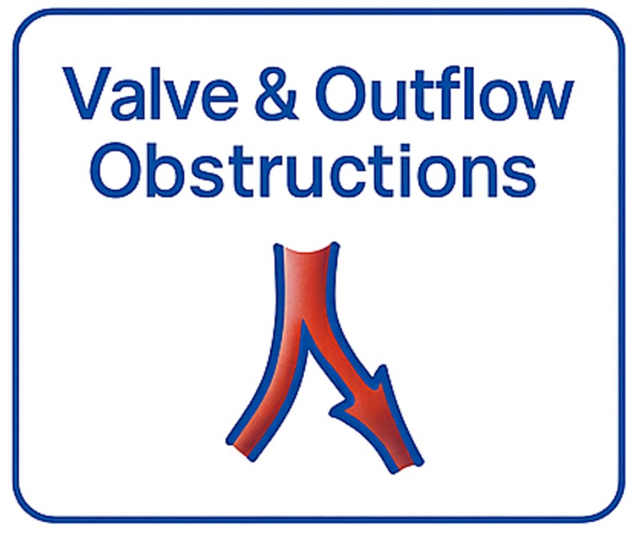 Valve & Outflow Obstructions